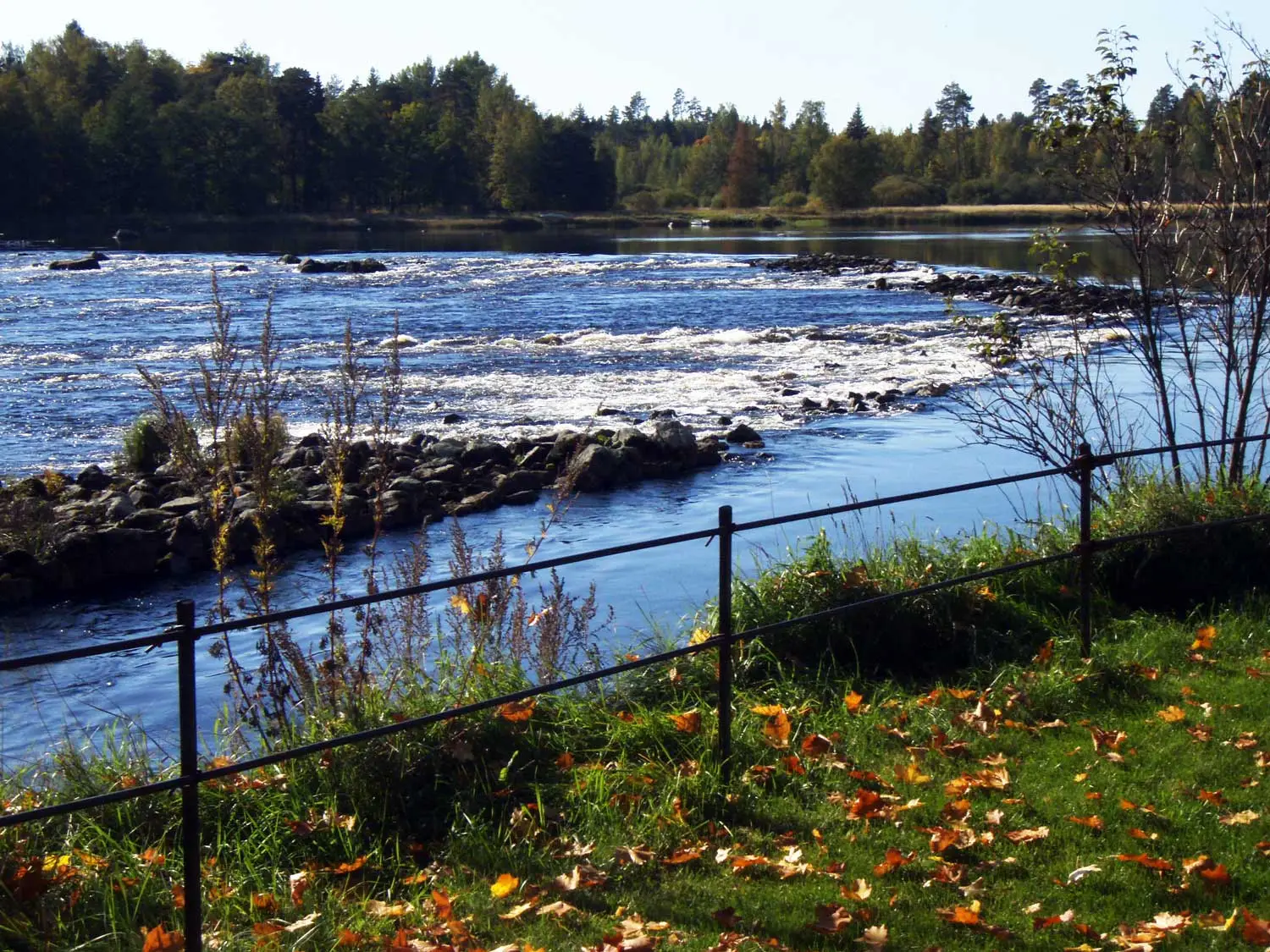 Naturum Färnebofjärden