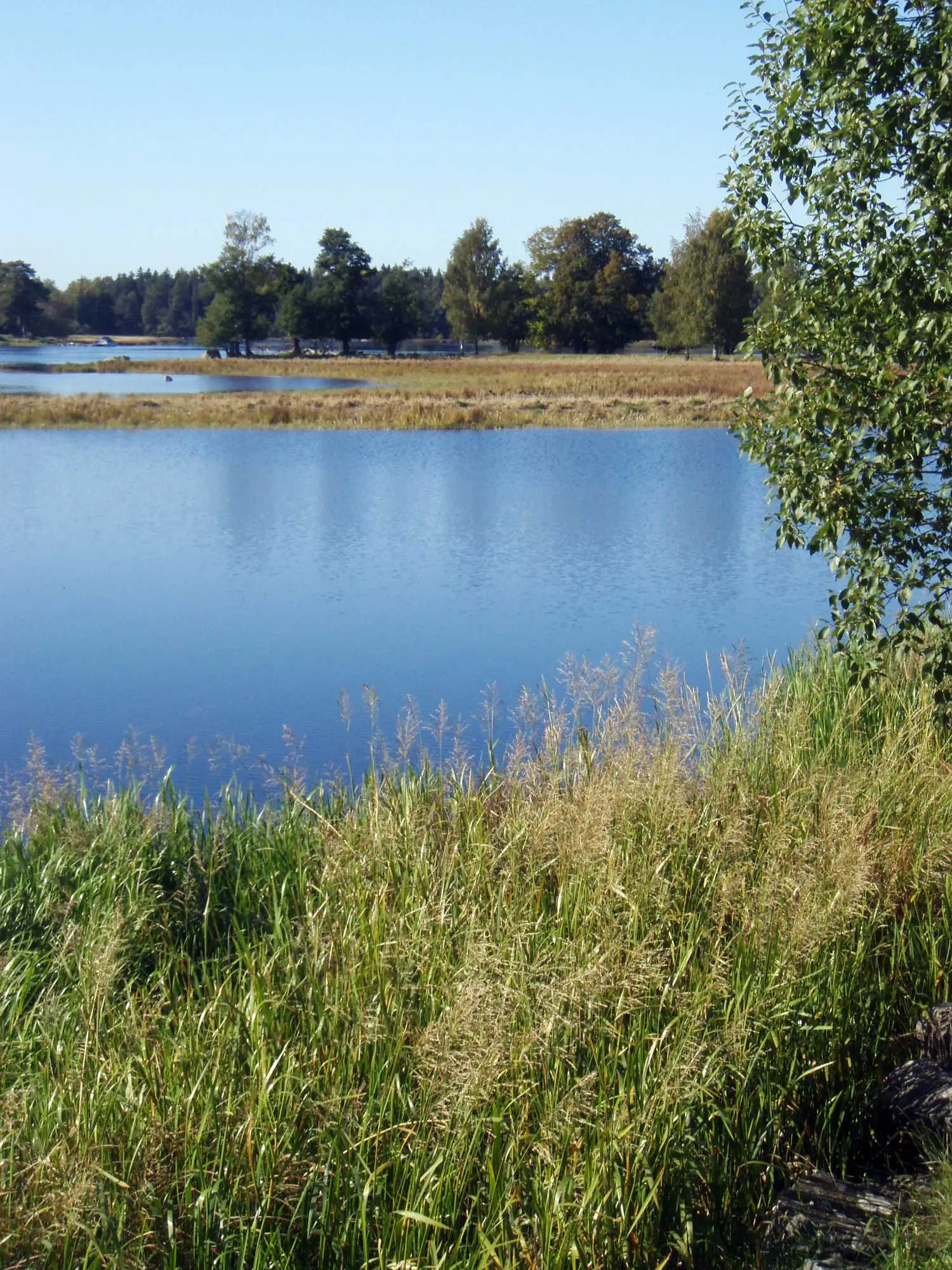 Naturum Färnebofjärden
